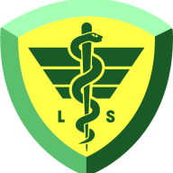 Los Santos Medical Center Command